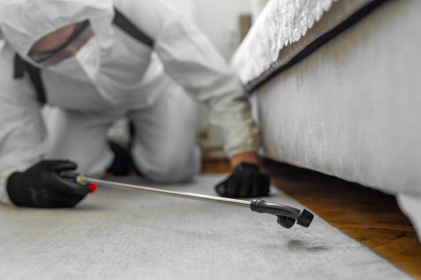 Professional Pest Control technician working in Welch, WV