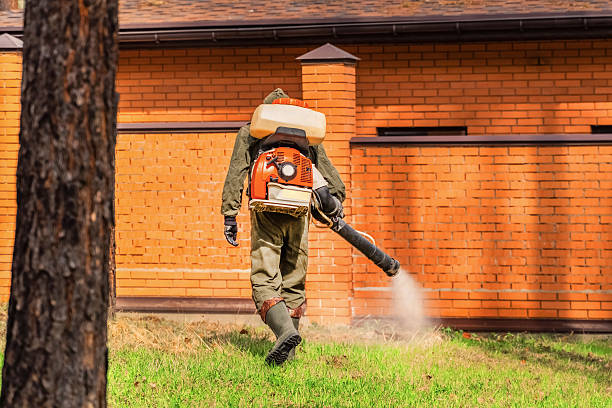 Trusted Emergency Pest Control service in Welch, WV - Nex Pest Control